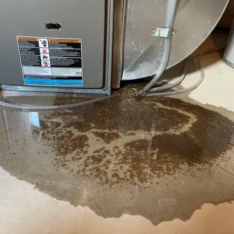 Appliance Leak Cleanup in Rancho Alegre, TX